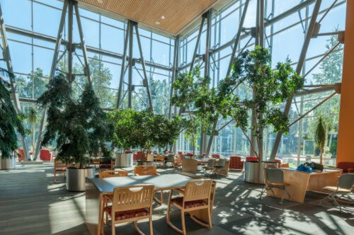 library great room with floor to ceiling windows, plants, and study tables